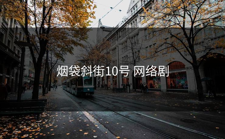 烟袋斜街10号 网络剧