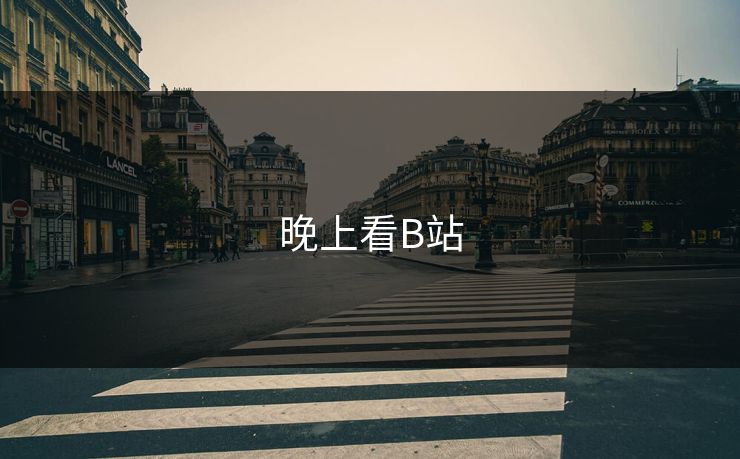 晚上看B站