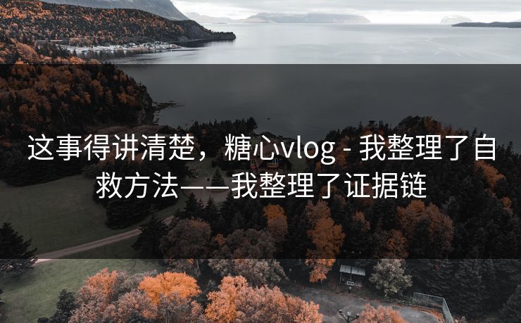 这事得讲清楚，糖心vlog - 我整理了自救方法——我整理了证据链